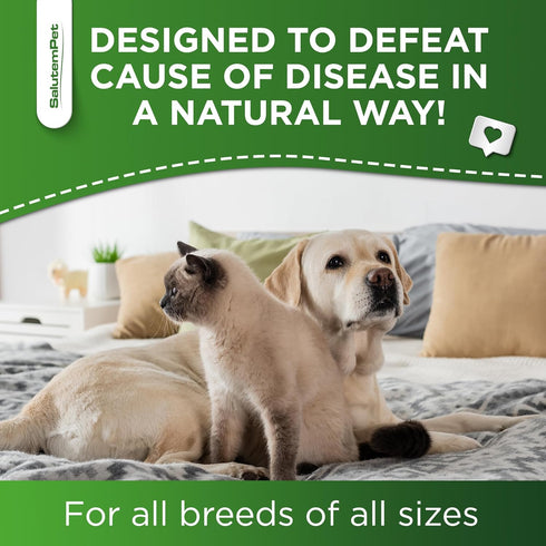Natural Antibiotics for Dogs, Help with Allergies and UTIs, Herbal Supplement for All Breeds and Ages, 2 oz