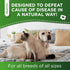 Natural Antibiotics for Dogs, Help with Allergies and UTIs, Herbal Supplement for All Breeds and Ages, 2 oz