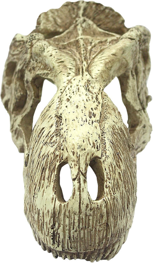 Komodo Reptile Terrarium T-Rex Skull Ornament, Large Easy to Clean Aquarium or Habitat Decoration