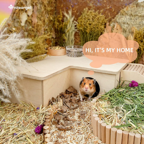 Niteangel Multi-Chamber Hamster House Maze, Multi-Room Hideouts & Tunnel Toys for Hamster, Gerbils, Mice (3-Room Large)