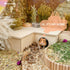 Niteangel Multi-Chamber Hamster House Maze, Multi-Room Hideouts & Tunnel Toys for Hamster, Gerbils, Mice (3-Room Large)