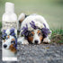 16 oz. The Blissful Dog Australian Shepherd Drama Queen Shampoo