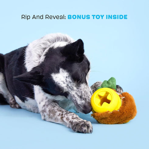 Dog Toy Rooster - Interactive Plaything for Dogs