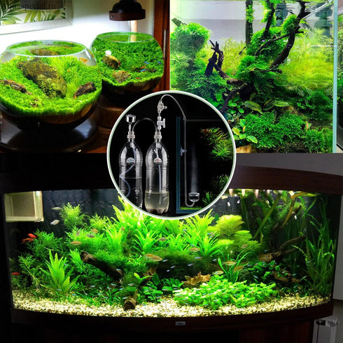 DIY CO2 Generator System Kit - Pressurized CO2 Kit for Aquarium Plants with Pressure Gauge & Air Flow Valve