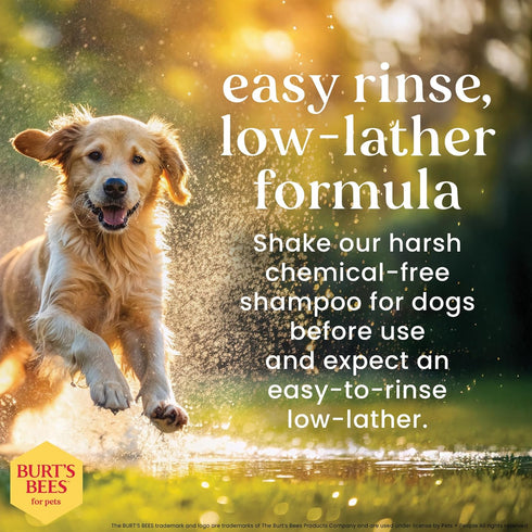 32 Oz Burts Bees for Pets Oatmeal Dog Shampoo with Honey, Soothing Dog Shampoo for Itchy and Sensitive Skin, pH