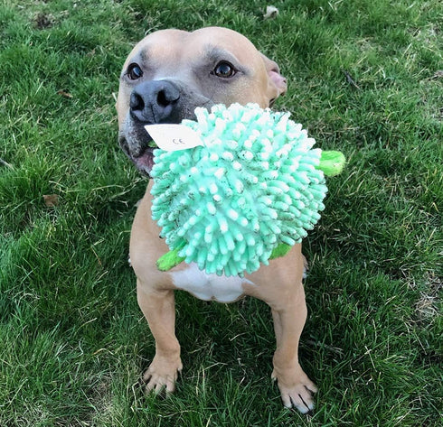 SmartPetLove Snuggle Puppy Tender-Tuffs Ball, Round Pufferfish Tough Dog Toy with Squeaker