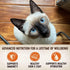 Wellness Natural Premium Canned Cat Wet Food, 12 Pack Variety Bundle (4 Flavors: Chicken, Beef, Salmon & Turkey) with
