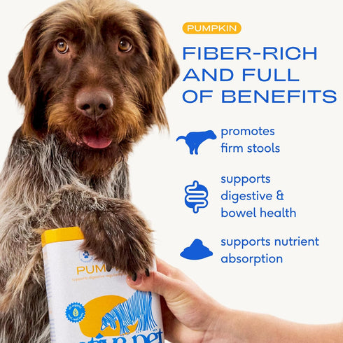(4.75 oz) (8 oz.) Native Pet Beef Bone Broth for Dogs & Organic Pumpkin for Dogs - Dog Bone Broth Powder Food Topper