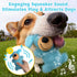 2PCS Squeaky Dog Toys, Squeaky Dog Chew Toys Bear Plush Dog Toys to Keep Them Busy, Built-in a Squeaker Interactive