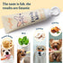 360 FlyDog Fresh Kiss Dog Tooth Brushing Kit - Vet Approved Formula, Enzymatic Dog Toothpaste and Brush - Breath