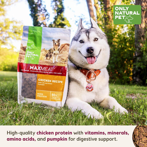 Only Natural Pet MaxMeat Holistic Air Dried Dog Food, All Natural, High Protein, Grain Free, Chicken with Pumpkin &