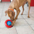 KONG Gyro Interactive Dog Toy, Treat Dispensing, Slow Feeder for Small Dogs