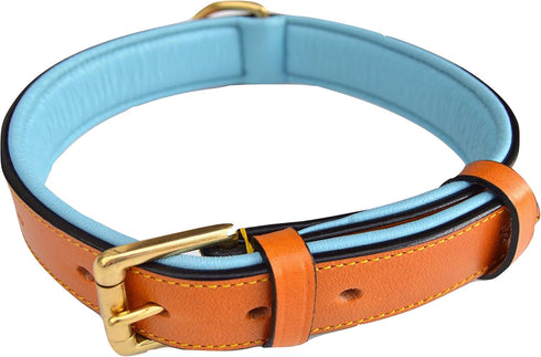 Padded Leather Dog Collar, Tan and Teal, Medium Size, 20" Long x 1" Wide, Neck Size 14.5" to 17.5"