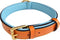 Padded Leather Dog Collar, Tan and Teal, Medium Size, 20" Long x 1" Wide, Neck Size 14.5" to 17.5"