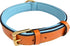 Padded Leather Dog Collar, Tan and Teal, Medium Size, 20" Long x 1" Wide, Neck Size 14.5" to 17.5"