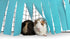 Corner Fleece Forest Hideout for Small Pets - Guinea Pigs, Ferrets, Chinchillas, Hedgehogs (Blue/Gray)