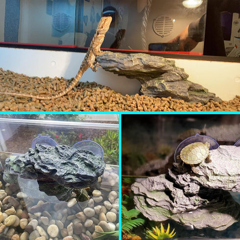 kathson Turtle Basking Platform with Suction Cup, Tortoise Climbing Rest Terrace for Reptile Habitat Rock Decor (L)
