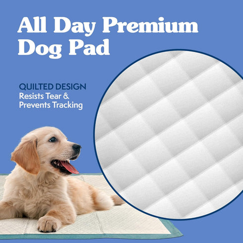 Simple Solution Training Puppy Pads - 100 Count, 6 Layer Dog Pee Pads, Absorbs Up to 6 Cups, 23x24in