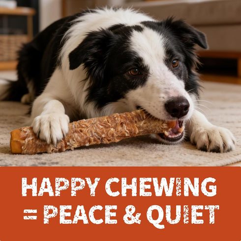 2 Packs 13" Just Try Large Size Chicken Wrapped Rawhide Dog Chew Sticks - Long Lasting Dog Chews, Dog Treats for Large