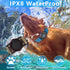 AirTag Dog Collar with Waterproof Holder, Luminous Reflective, Comfortable Durable 1000D Nylon, Fit for Large Active