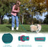 Waterproof Dog Leash Carabiner - Soft Handle Easy Care 6ft*25mm*2.5mm, Viridian Green