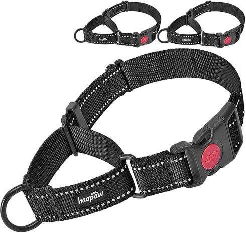 haapaw Martingale Dog Collar 2 Packs with Quick Release Buckle, Reflective Training Collars for Small Medium Large Dogs