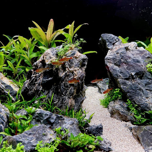 10 PCS Natural Seiryu Stones, 2-4'' Slate Stones for Aquariums, Terrariums, and Reptile Enclosures