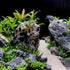 6 PCS Natural Seiryu Stones, 6-8'' Slate Stones for Aquariums, Terrariums, and Reptile Enclosures