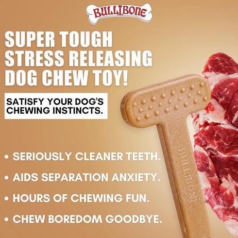 Bullibone Nylon Dog Chew Toy, Improves Dental Hygiene, Easy to Grip, Permeated with Flavor (Beef, XL - Single)