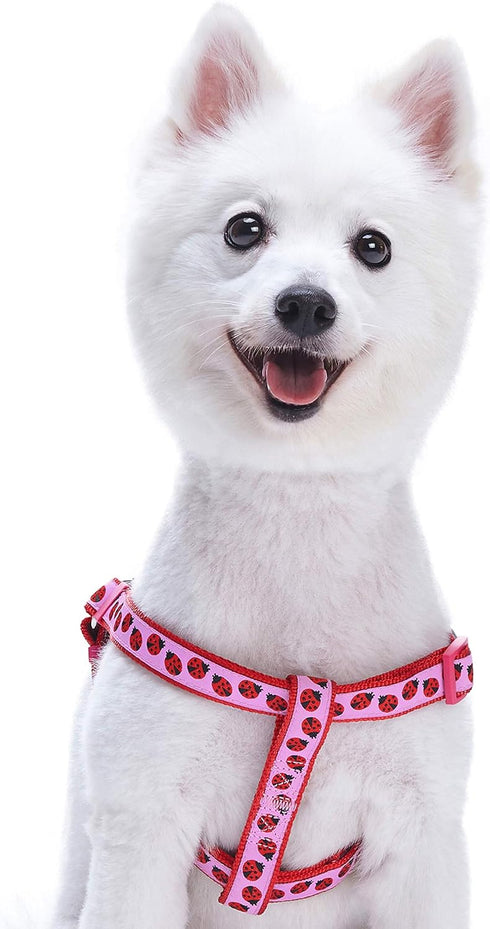 Blueberry Pet Essentials 2 Patterns Step-in Ladybug Designer Dog Harness, Chest Girth 16.5" - 21.5", Small