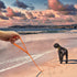 10ft Orange Long Waterproof Training Dog Leash, Easy Care Leash for Recall, Swimming, Camping, Beach, Hunting, Walking