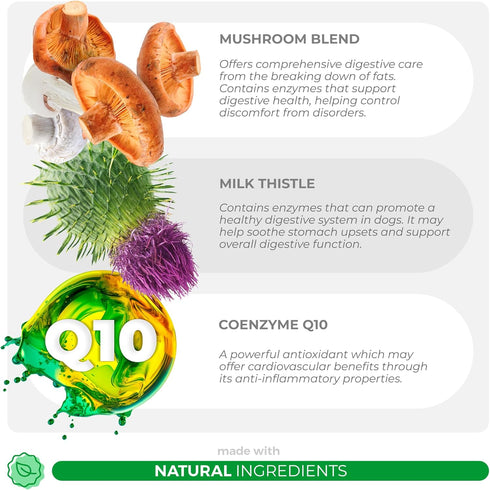 Q10. Turkey Tail Mushroom for Dogs - Mushroom Complex for Lumps and Bumps - Reishi, Cordyceps, Lion's Mane, Turkey