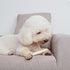 MON2SUN Dog Rawhide Rolls Twist Sticks, 6.5 Inch Natural Flavor Chews, 18 Count for Puppies and Small Dogs