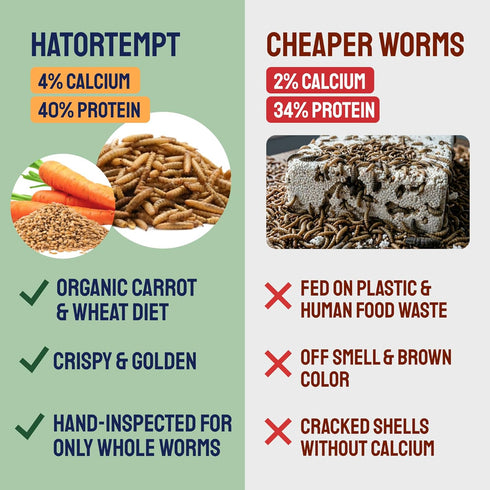 10lb Hatortempt Dried Black Soldier Fly Larvae - More Calcium Than Mealworms for Chickens - High Protein Chicken Feed