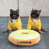iChoue I am a French Bulldog Clothes Hoodies for Dogs, Puppy Frenchie Pug Sweatshirt, Yellow/Large