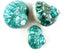 Heyiwell Shells3.5~4.5" Inch Large Polished Jade Top Turbo Seashells&Hermit Crab