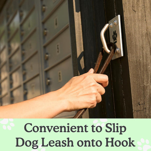 Canine Hitch, Secure Dog Leash Wall Hook with Stainless Steel & ABS Mounting Plate for Efficient Leash Management