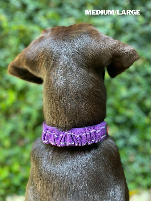 Heavy Duty Dog Collar with Handle, Ballistic Nylon Reflective Collar with Adjustable Stainless Steel Hardware
