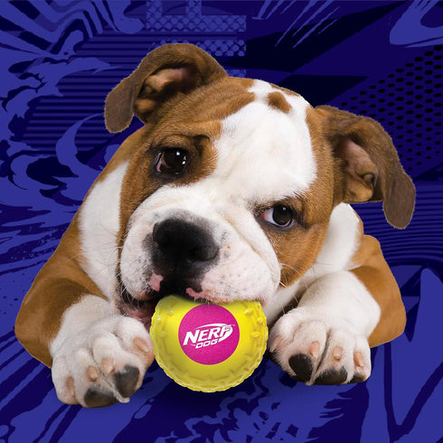 Nerf Dog 2.5in Squeak Armor Tennis Ball Dog Toys 3-Pack - Yellow/Pink, Orange/Blue, Blue/Green