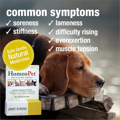 HomeoPet Joint Stress, Joint Support for Dogs and Cats, 15 Milliliters