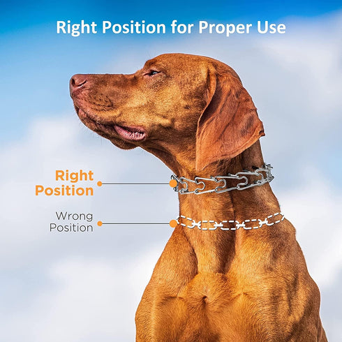 Dog Prong Collar with Quick Release Buckle, Adjustable No Pull Choke Collar for Middle Large Dog Training