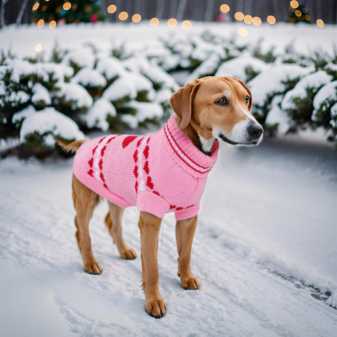 Dog Sweater Turtleneck Winter Coat Apparel - Warm Knitted Holiday Clothes for Cat and Puppy (Medium)