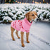 Dog Sweater Turtleneck Winter Coat Apparel - Warm Knitted Holiday Clothes for Cat and Puppy (Medium)
