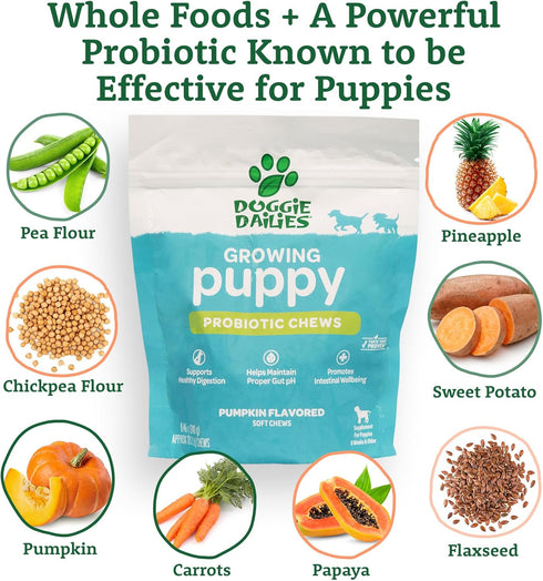 Doggie Dailies Puppy Probiotic | 120 Soft Chews for Digestive Health & Immune Support in Puppies
