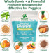 Doggie Dailies Puppy Probiotic | 120 Soft Chews for Digestive Health & Immune Support in Puppies