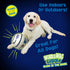 Wobble Wag Giggle Ball, Interactive Glow in the Dark Dog Toy for Self Play and Entertainment