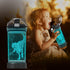 5-7 8-12 3D 14 OZ Lightzz Dinosaur Water Bottle, Dinosaur Toys for Boys with Glowing Light, Christmas Gifts White