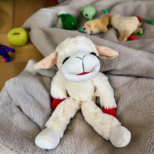 Lamb Chop Dog Toy, 14" with Squeaker