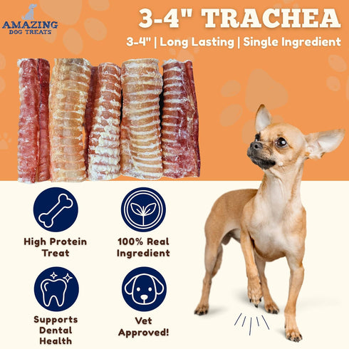 (3-4 Inch, 12 Count) Amazing Dog Treats - Beef Trachea Rings -Premium Dog Chews- Great for Small Size Dogs - Excellent