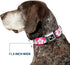 Buckle-Down Hibiscus Dog Collar Bone, Neon Pink/White, 1" Wide - Fits 9-15" Neck - Small